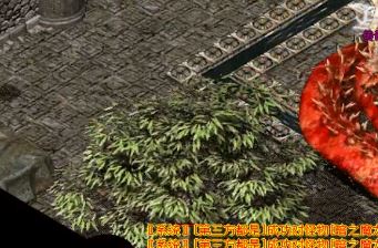 在用传奇的新衣服摆摊时，你注意了什么？